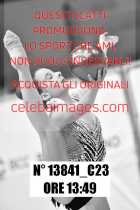 13841_C23