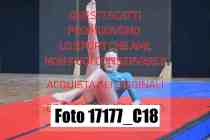 17177_C18