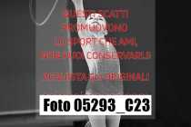 05293_C23
