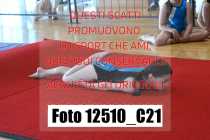 12510_C21
