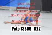 13306_C22