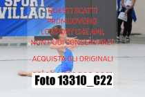 13310_C22
