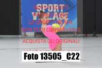 13505_C22