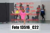 13516_C22