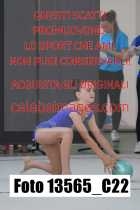 13565_C22