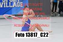 13817_C22