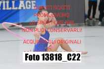 13818_C22