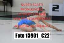 13901_C22