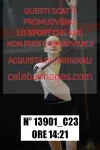 13901_C23