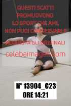 13904_C23
