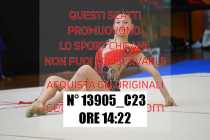 13905_C23