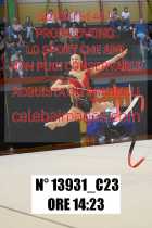 13931_C23