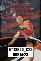 13933_C23
