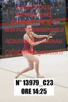 13979_C23