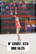 13982_C23