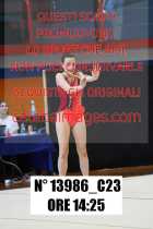 13986_C23