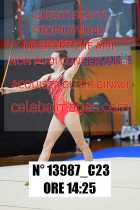 13987_C23