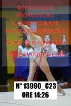 13990_C23
