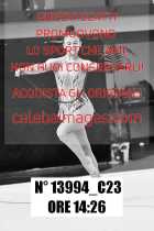 13994_C23