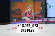 14055_C23