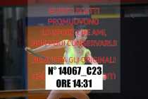 14067_C23