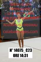 14075_C23