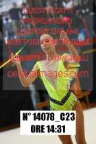 14078_C23