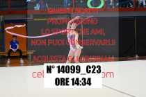 14099_C23