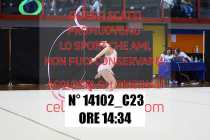 14102_C23