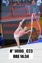 14106_C23