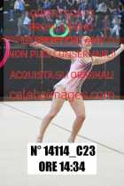 14114_C23