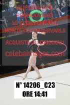 14206_C23