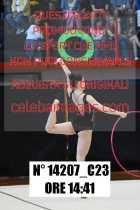 14207_C23