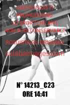 14213_C23