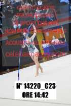 14220_C23