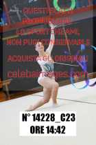 14228_C23
