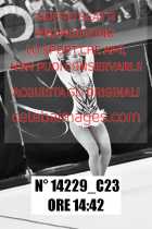 14229_C23