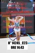 14245_C23