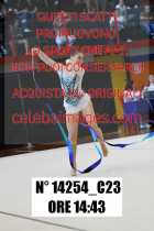 14254_C23