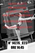 14276_C23