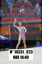 14331_C23