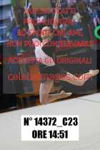 14372_C23