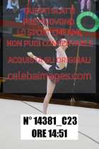 14381_C23