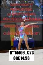 14406_C23