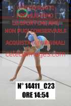 14411_C23