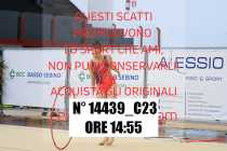 14439_C23
