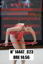 14447_C23