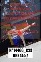 14466_C23
