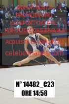 14482_C23