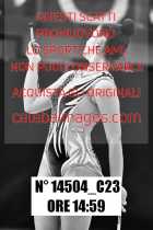14504_C23